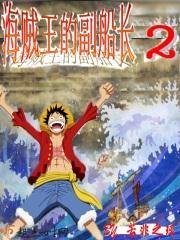 海贼王的副船长晋江