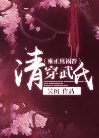 清穿成雍正福晋的推荐