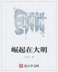 崛起在大明百度百科