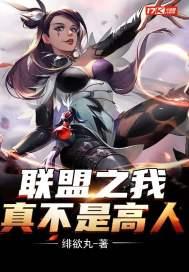 联盟之我真不是高人h版