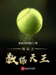 网坛之数据天王TXT最新章节