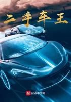 车王二手车网