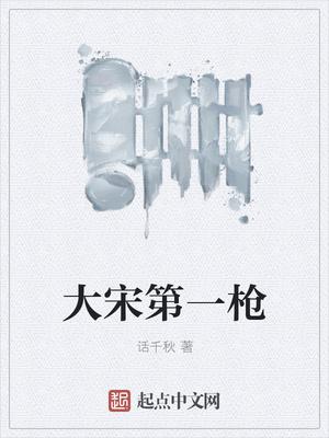 大宋第一枪原著