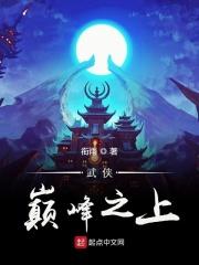 武侠之巅峰之上